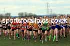Junior Girls 2024 English Schools Cross Country Champs., Pontefract, March 16th.  Photo: David T. Hewitson/Sports for All Pics